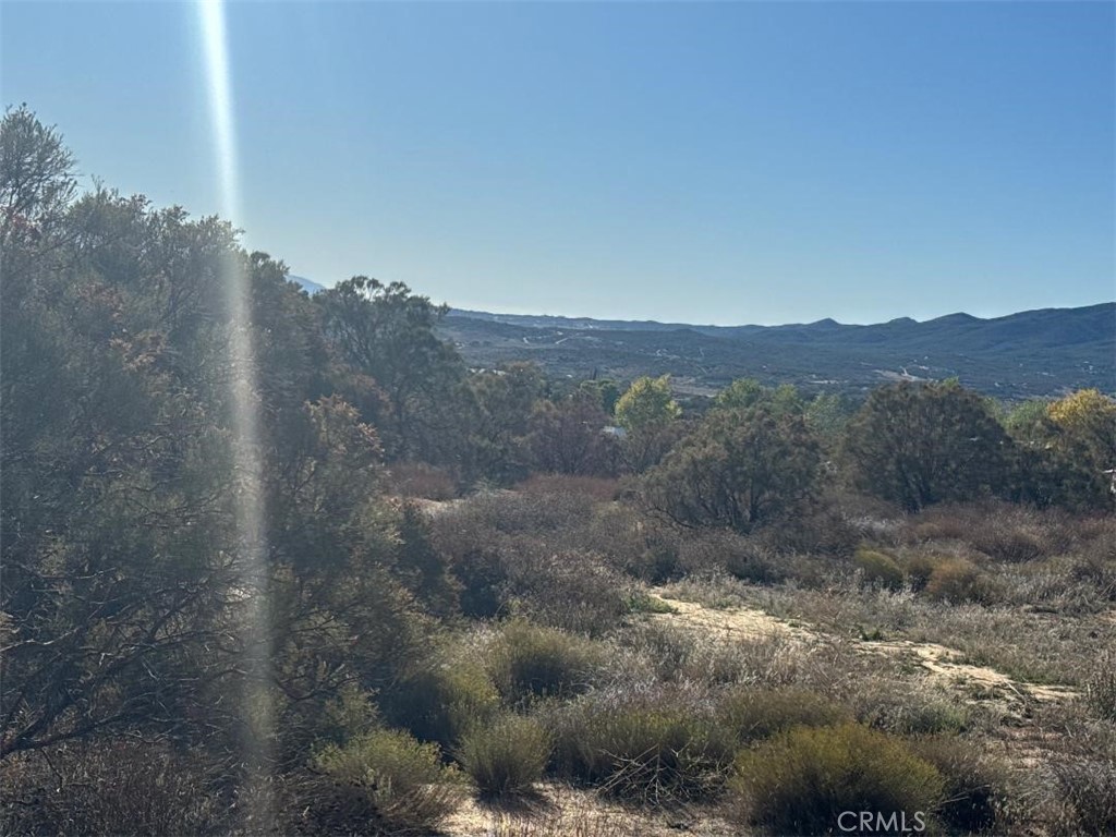 40570 Elm Brush Trail Property Photo 22