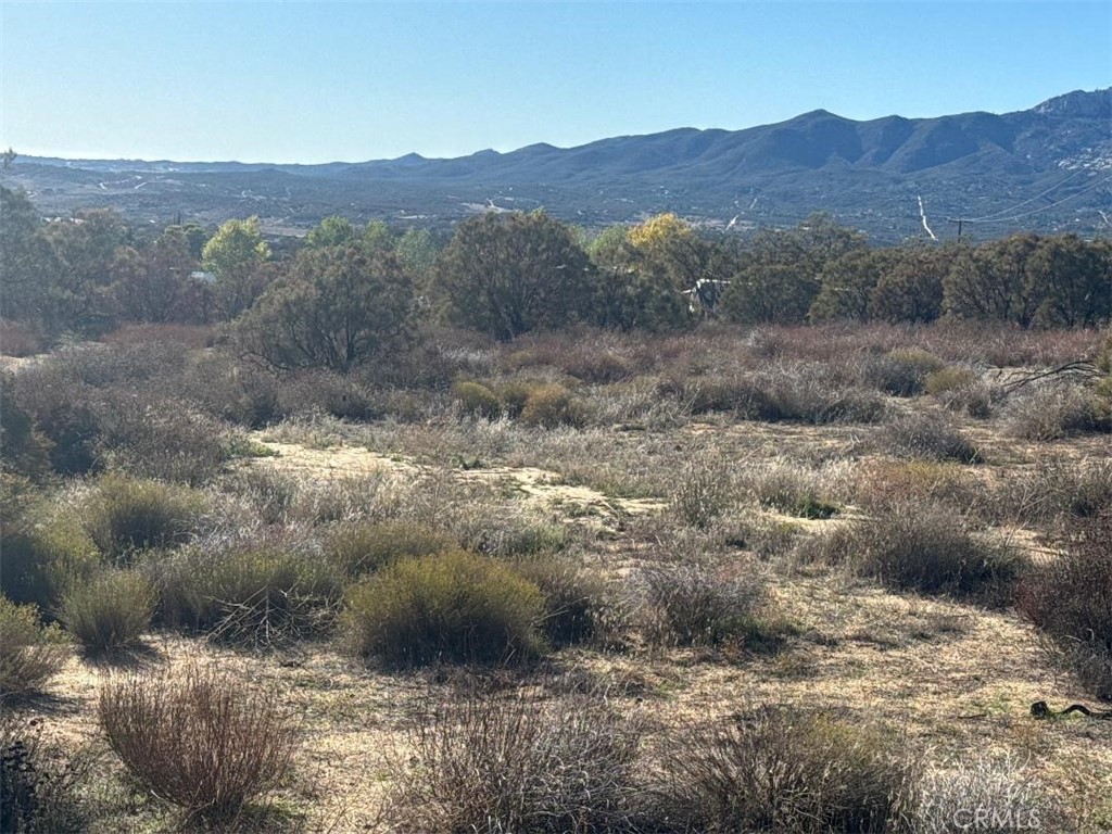 40570 Elm Brush Trail Property Photo 23