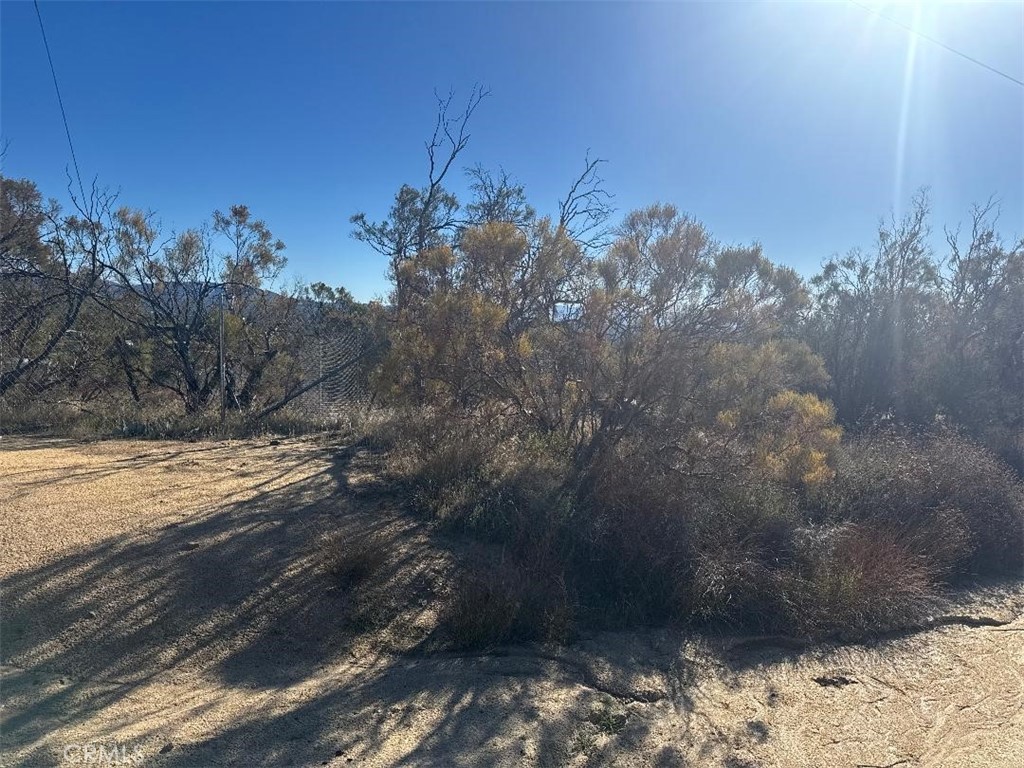 40570 Elm Brush Trail Property Photo 24