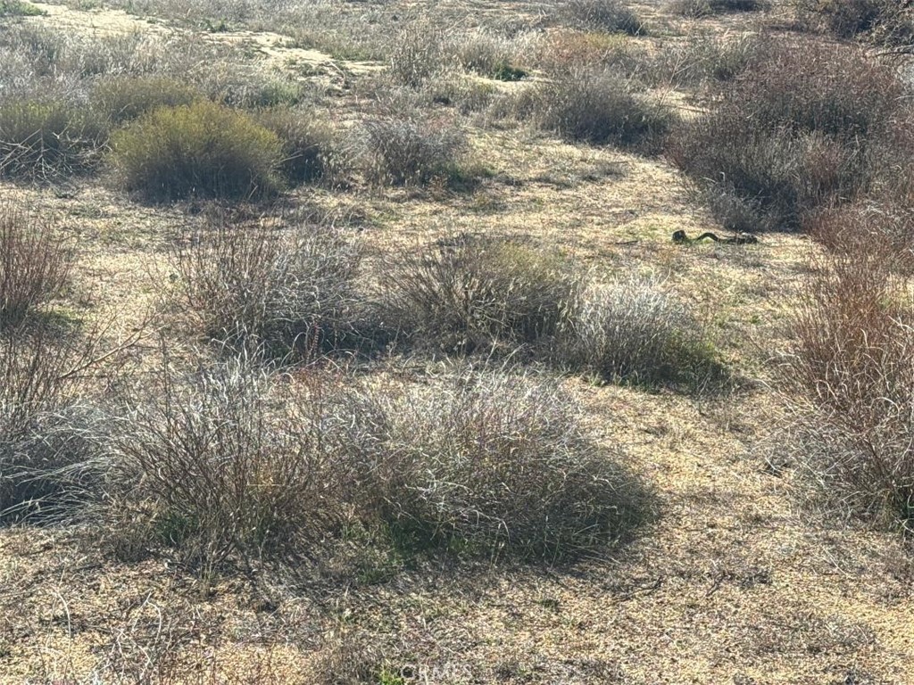 40570 Elm Brush Trail Property Photo 25