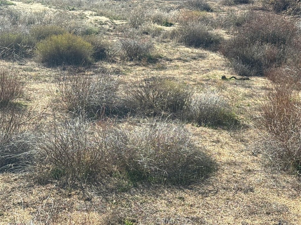 40570 Elm Brush Trail Property Photo 25