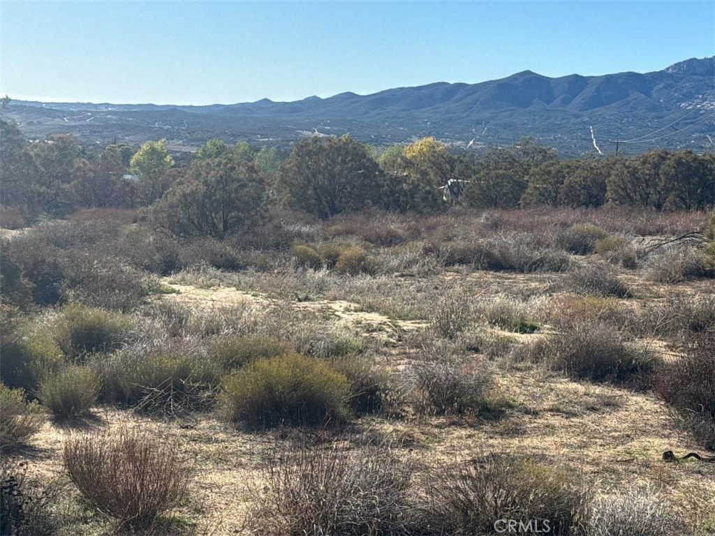 40570 Elm Brush Trail Property Photo 27