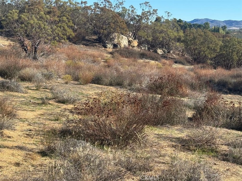 40570 Elm Brush Trail Property Photo 28