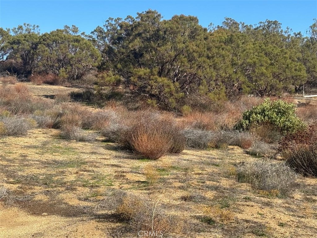40570 Elm Brush Trail Property Photo 29
