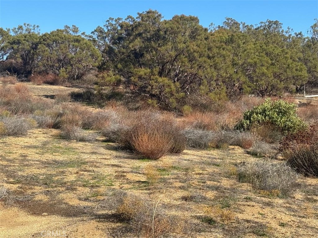 40570 Elm Brush Trail Property Photo 29