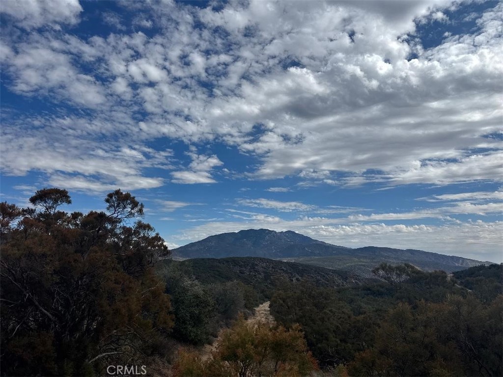40570 Elm Brush Trail Property Photo 31