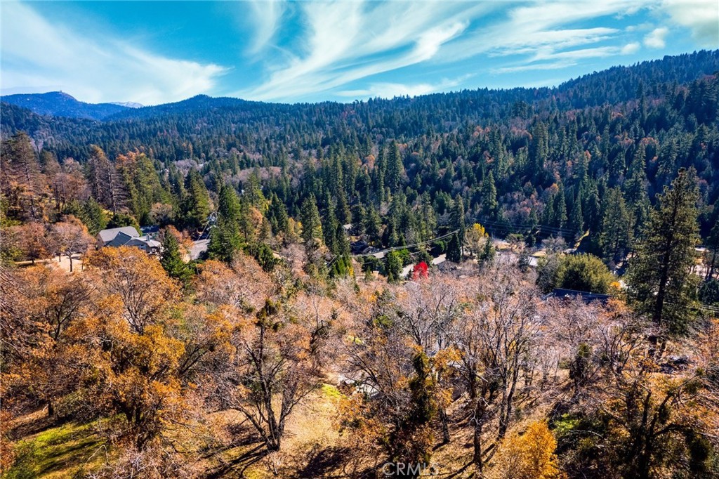 0 Briarwood Lane Property Photo