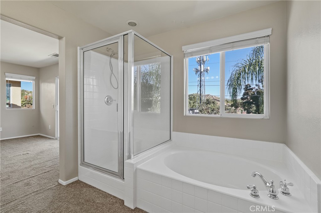 29250 Castlewood Drive Property Photo 25