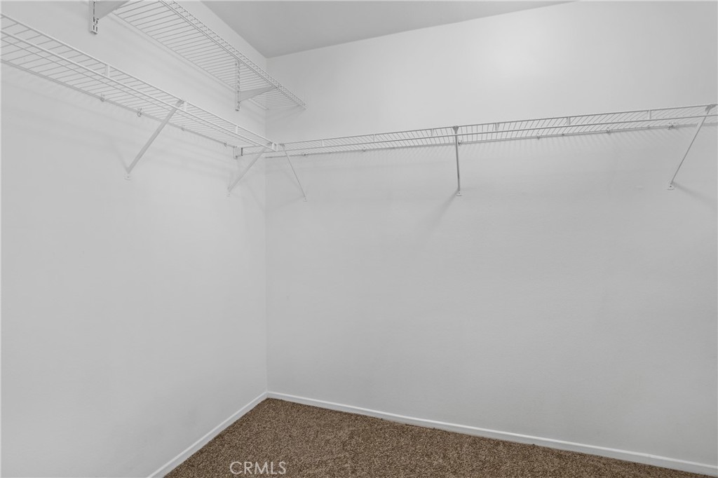 29250 Castlewood Drive Property Photo 26