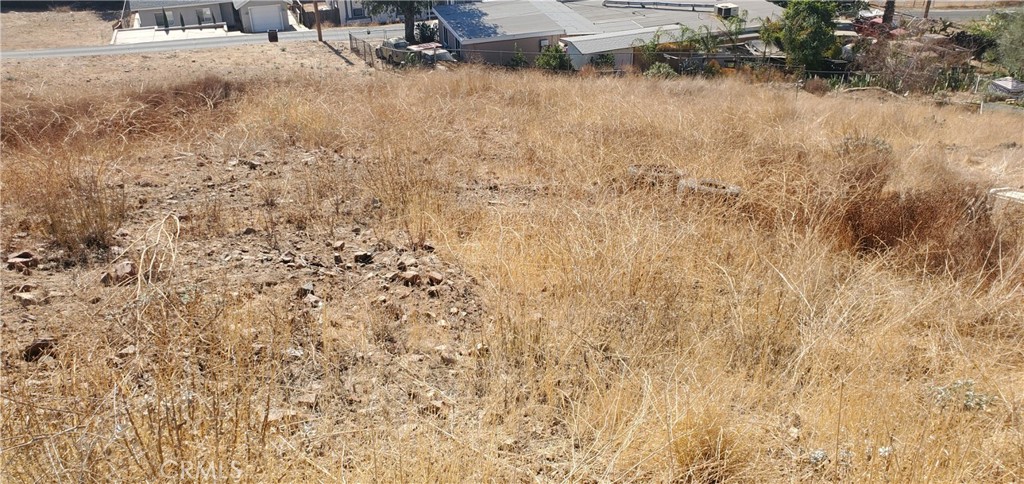 0 Lucas Drive Property Photo 6
