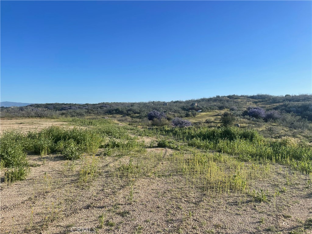 0 Chameleon Property Photo 5
