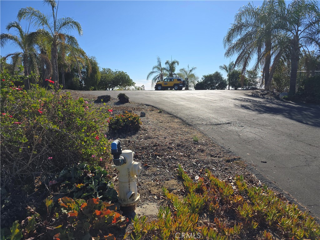 1387 Las Vistas Road Property Photo 10