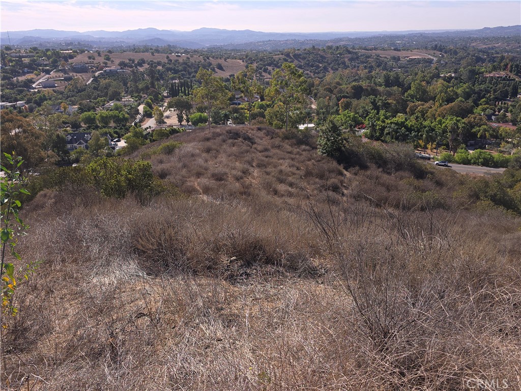 1387 Las Vistas Road Property Photo 13