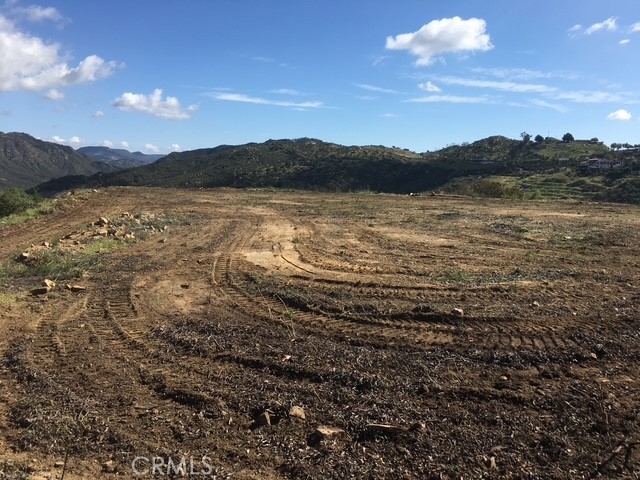 39939 Jones Road Property Photo 2