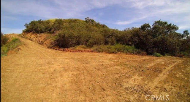 39939 Jones Road Property Photo 5