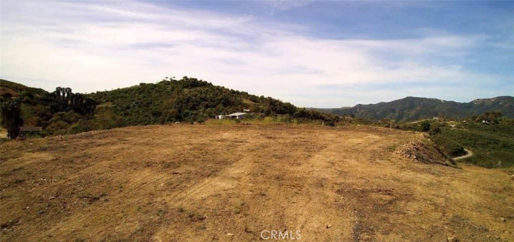 39939 Jones Road Property Photo 6