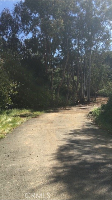 39939 Jones Road Property Photo 16