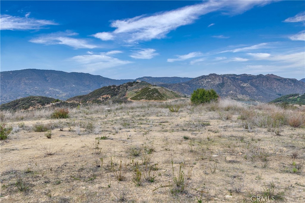 39939 Jones Road Property Photo 25