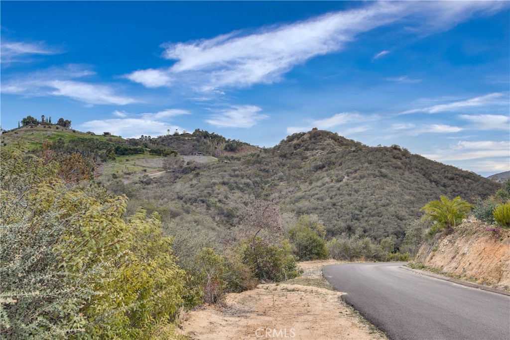 39939 Jones Road Property Photo 29