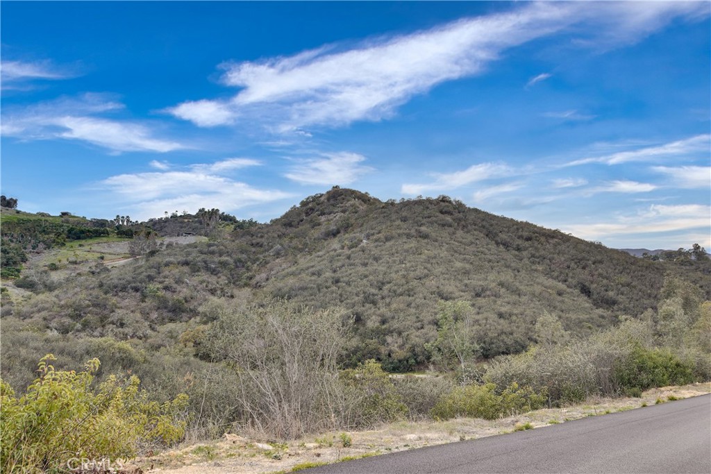 39939 Jones Road Property Photo 30