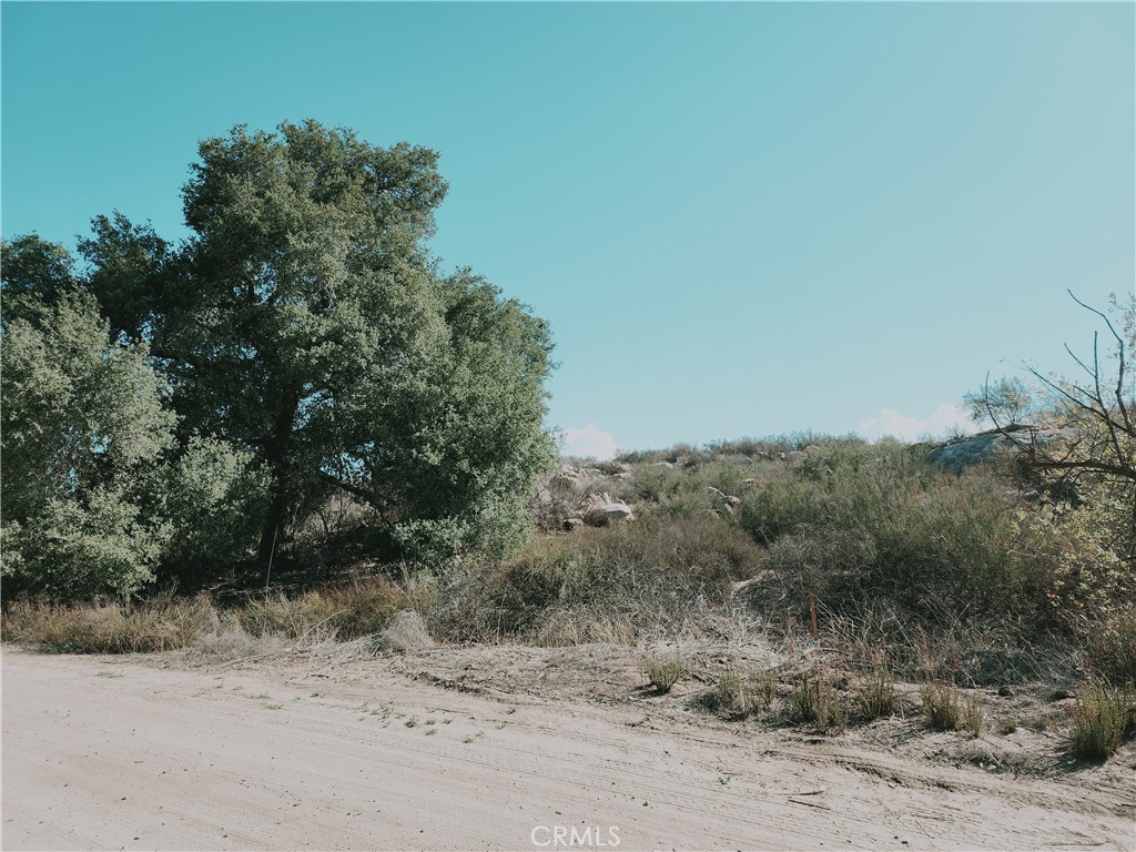 0 Twin Willow Property Photo 1