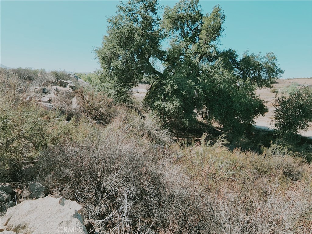 0 Twin Willow Property Photo 7