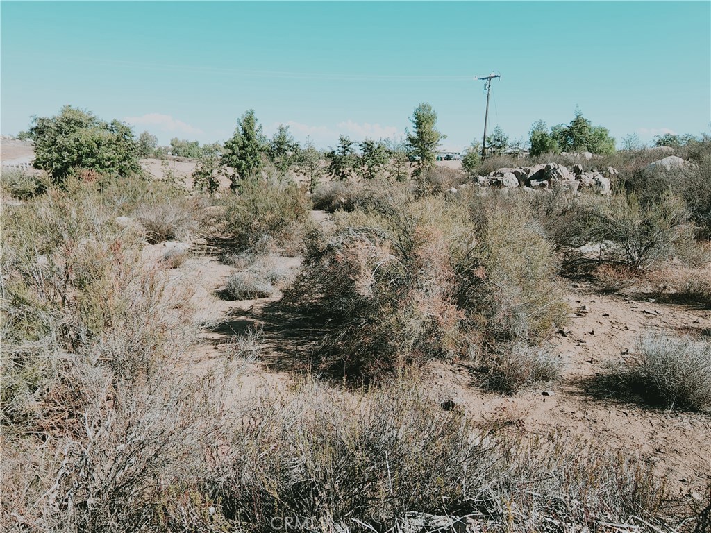 0 Twin Willow Property Photo 9
