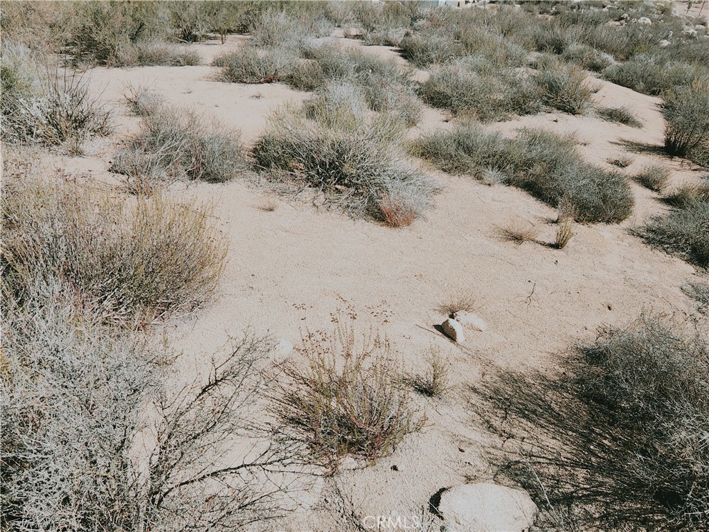 0 Twin Willow Property Photo 22