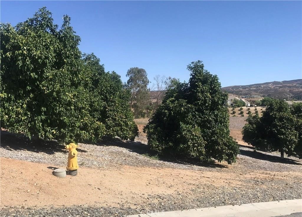 38538 Martin Ranch Road Property Photo 4