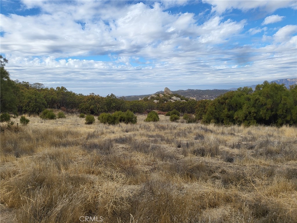 10 Sycamore Springs Road Property Photo 22