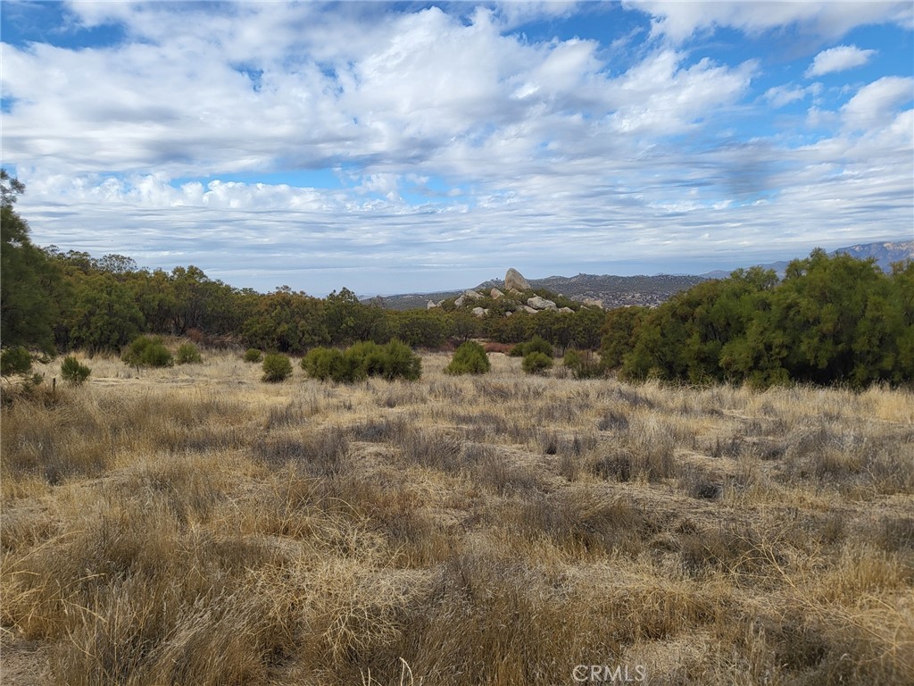10 Sycamore Springs Road Property Photo 22