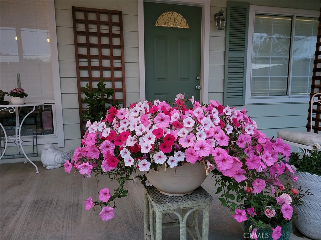 38195 Via Taffia Property Photo 3