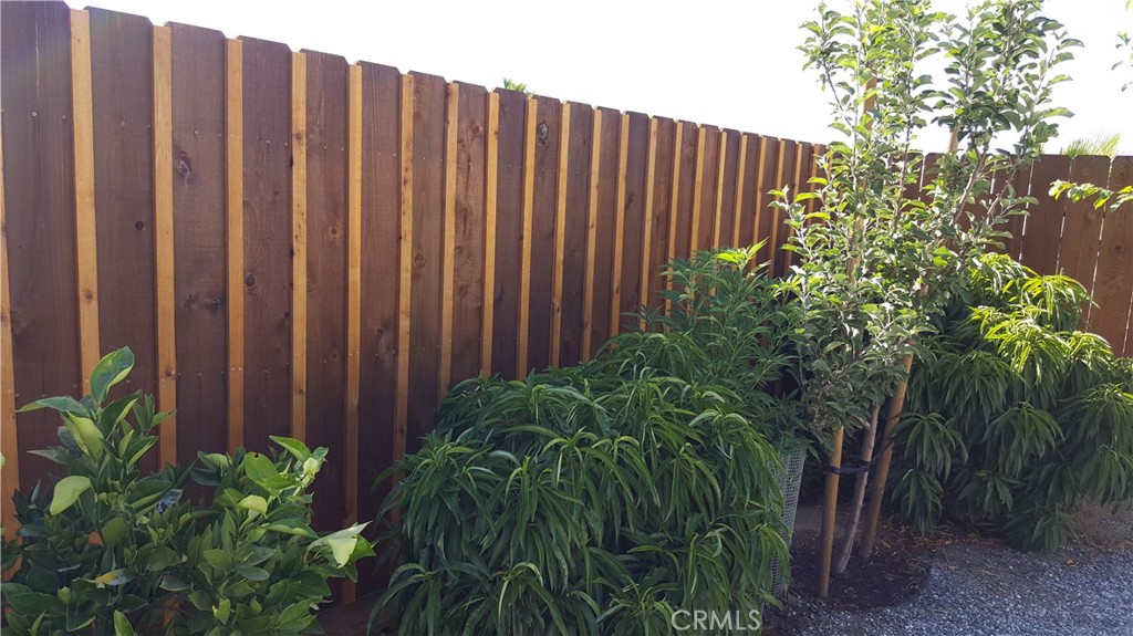 38195 Via Taffia Property Photo 26