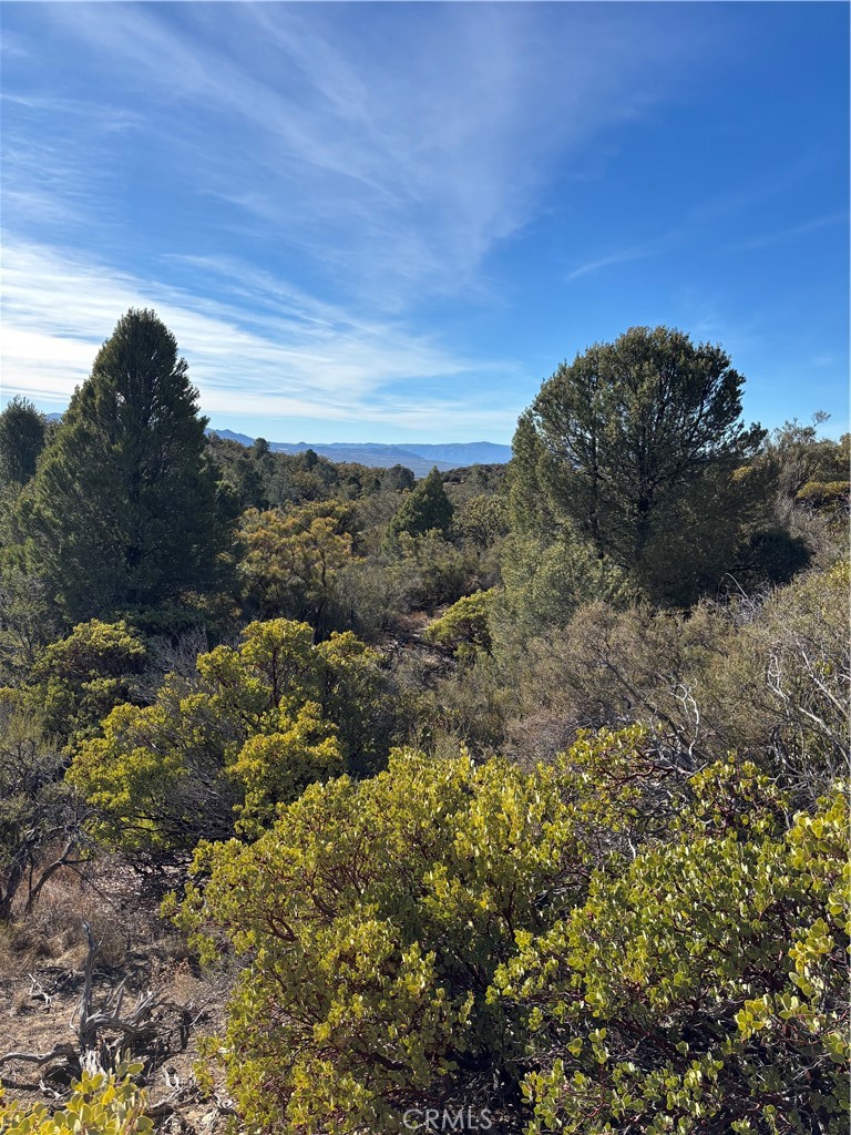 0 Upper Valley Road Property Photo 12