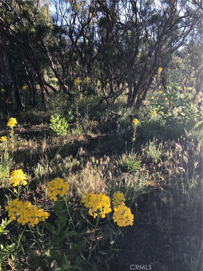 0 Upper Valley Road Property Photo 34