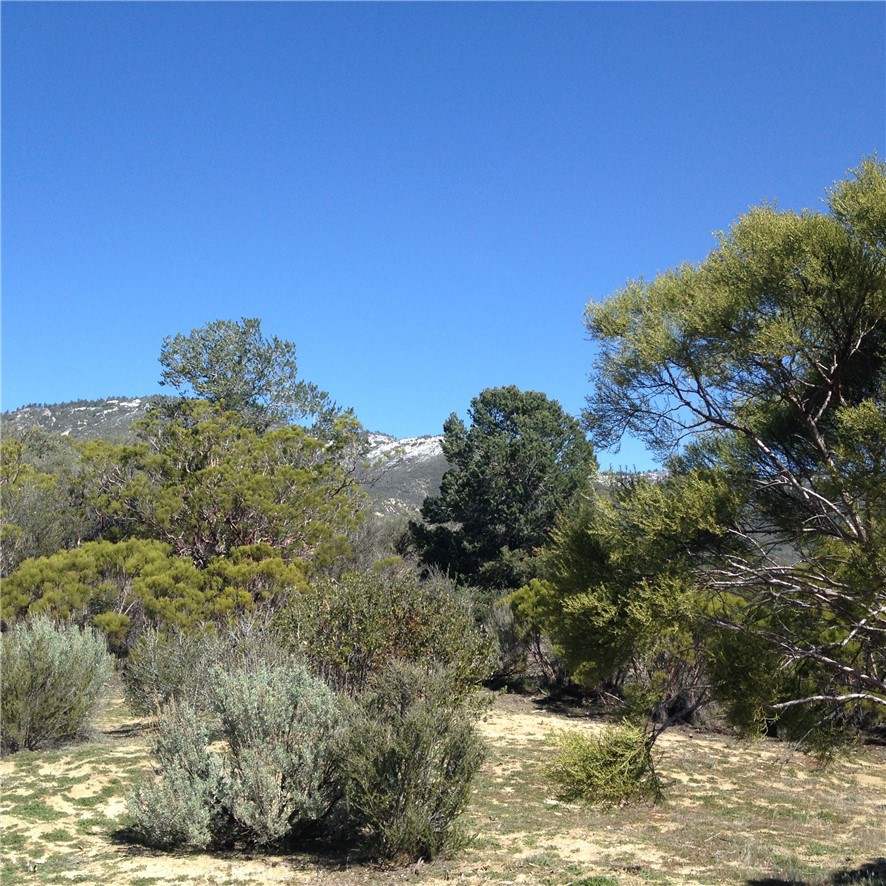 0 Upper Valley Road Property Photo 41