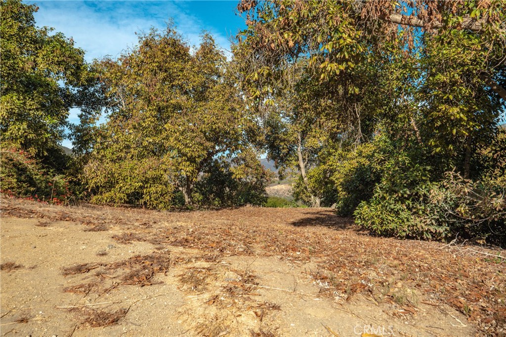 48 Pauma Ridge Road Property Photo 4