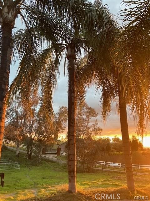 39174 Marcus Drive Property Photo 51