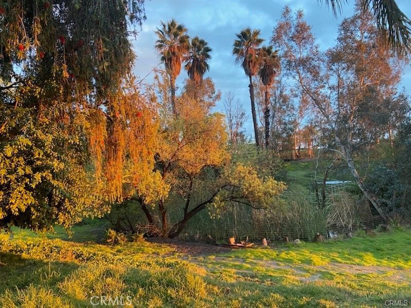 39174 Marcus Drive Property Photo 52