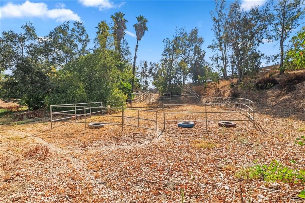 39174 Marcus Drive Property Photo 57