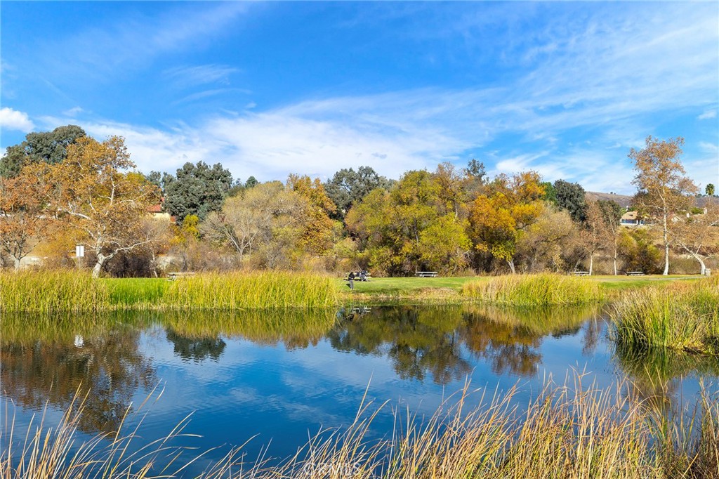 39755 Murrieta Hot Sprgs Road Property Photo 19