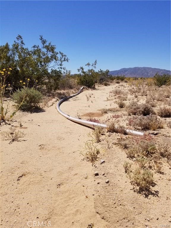 78751 Amboy Road Property Photo 3