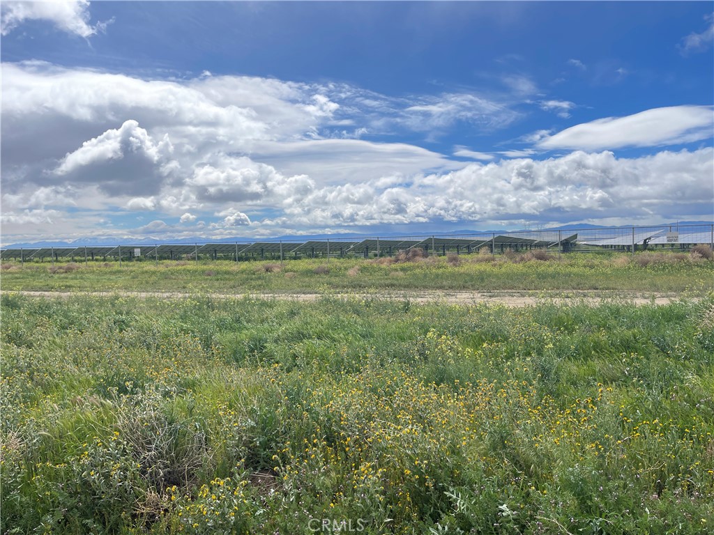 15981 Gaskell Road Property Photo 13
