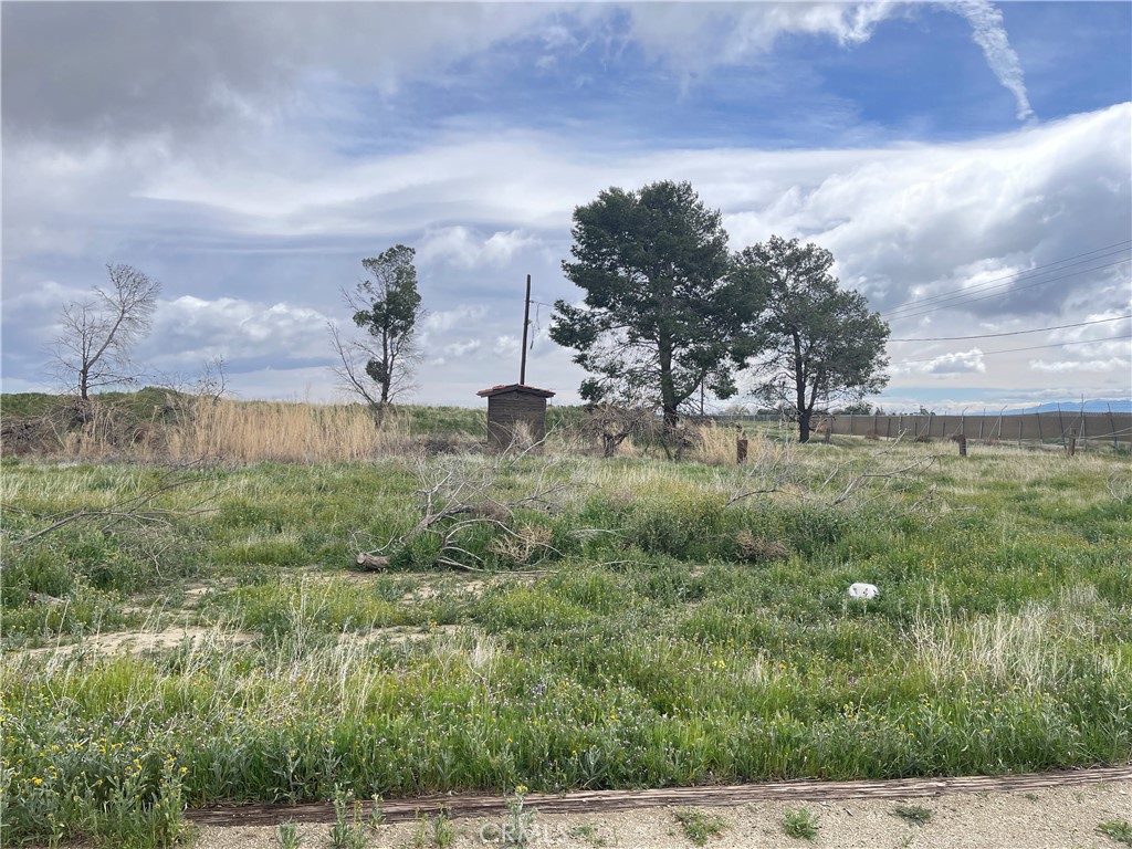 15981 Gaskell Road Property Photo 14