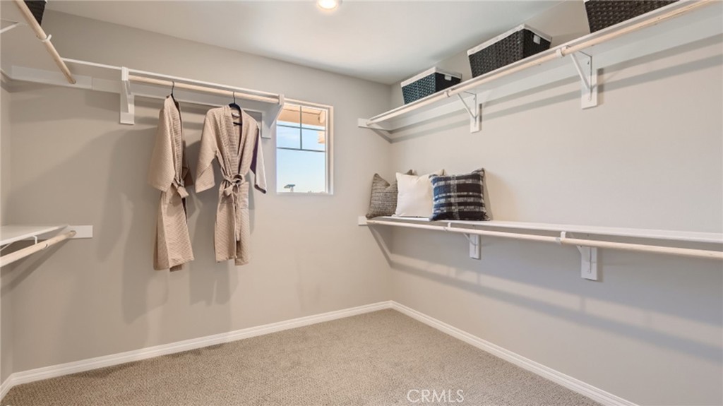 30294 Waterline Drive Property Photo 16