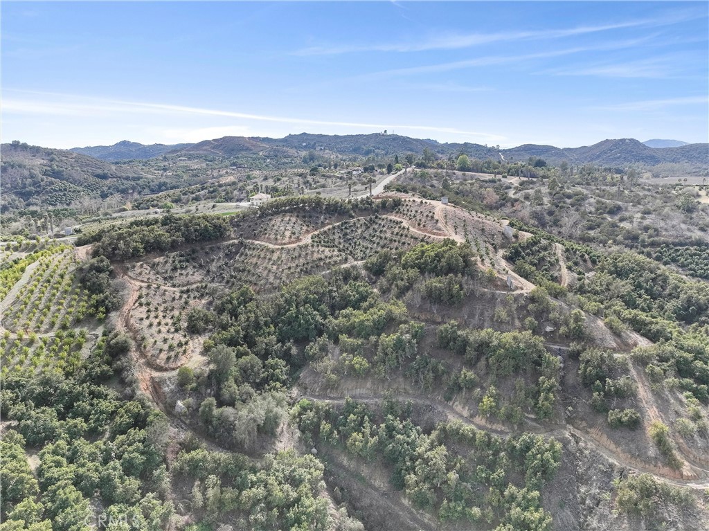 45811 Camaron Road Property Photo 12