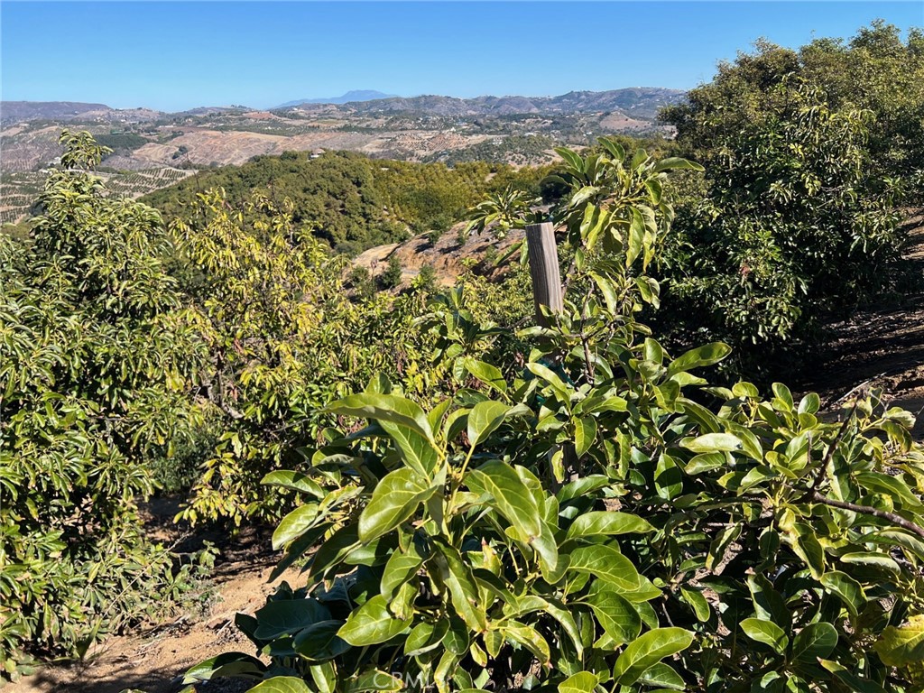 45811 Camaron Road Property Photo 18