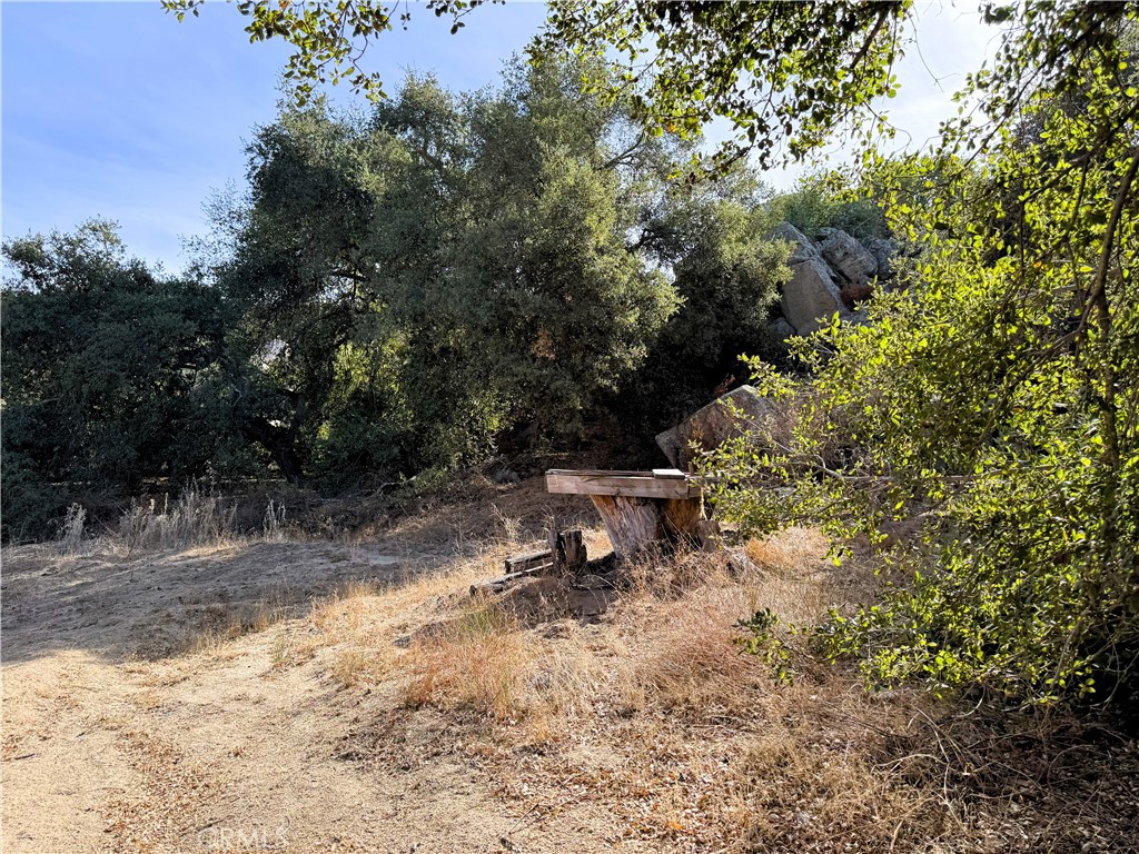 0 Scanlon Road Property Photo 17