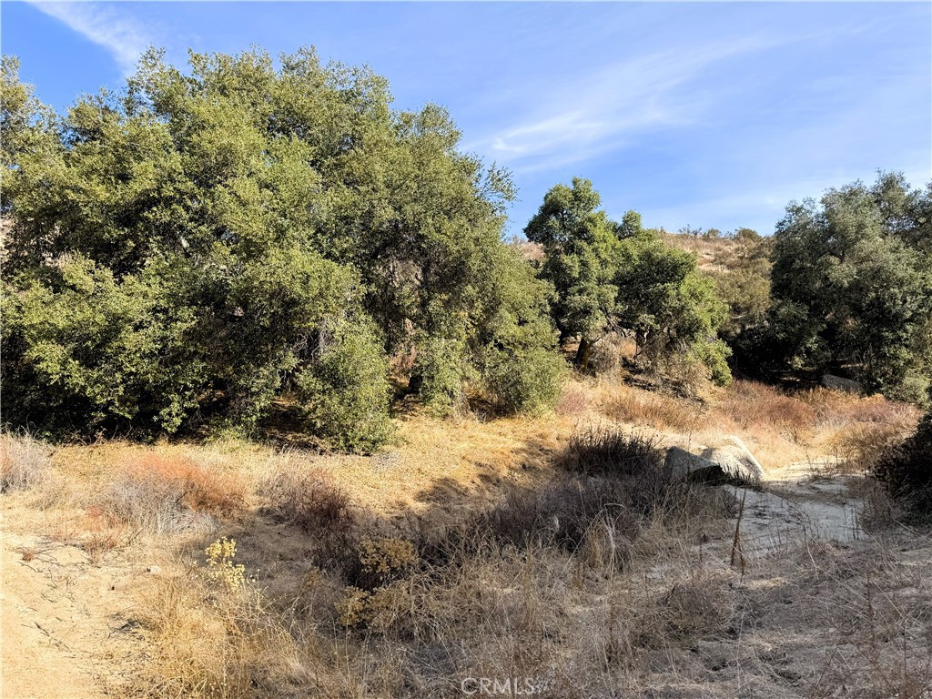 0 Scanlon Road Property Photo 18