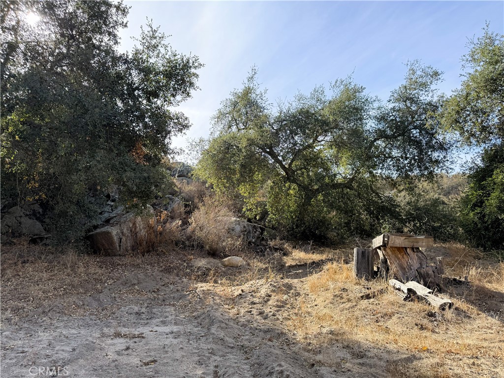 0 Scanlon Road Property Photo 19